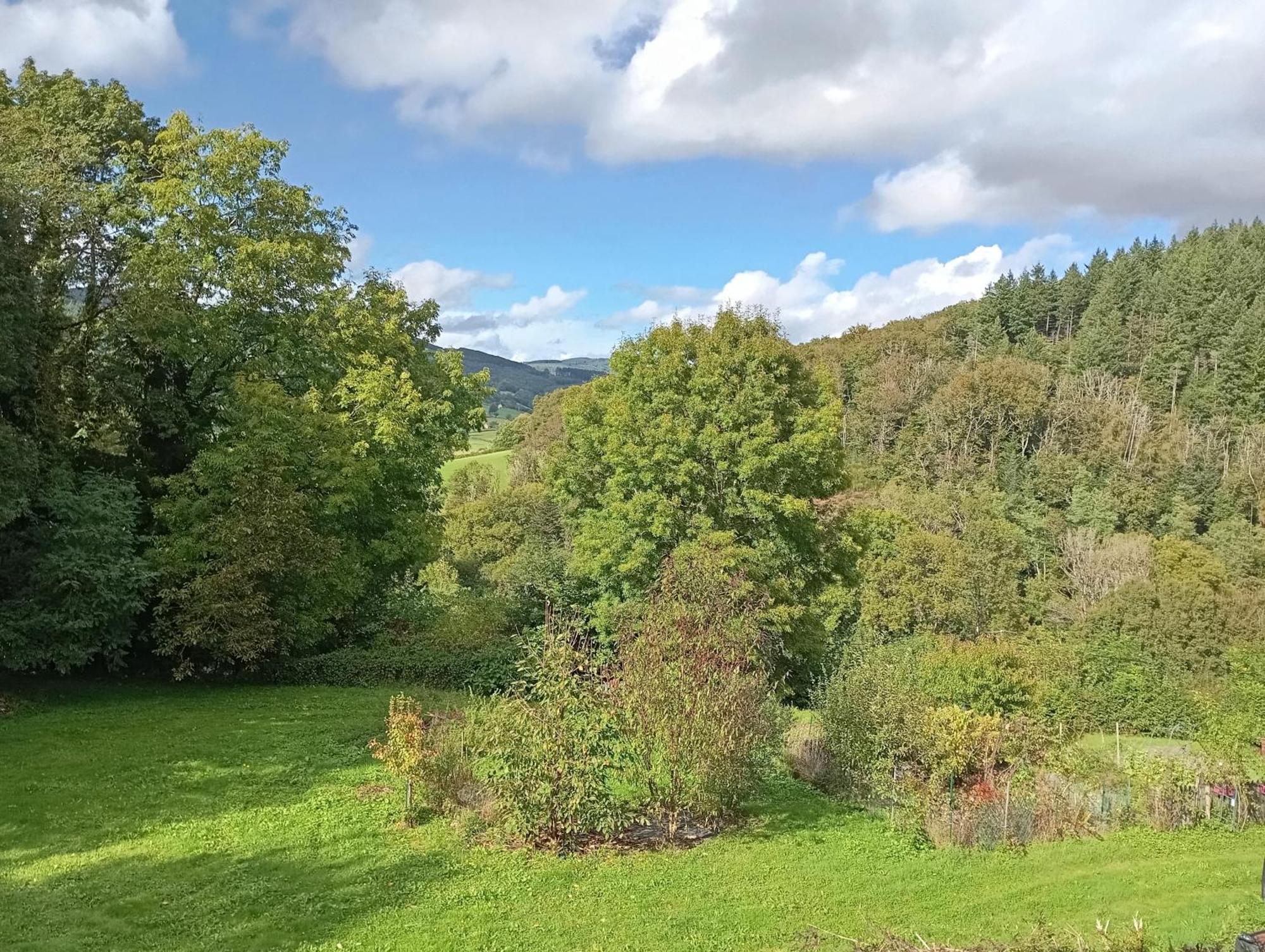 L' Ancienne Ecole Du Morvan Larochemillay Kültér fotó
